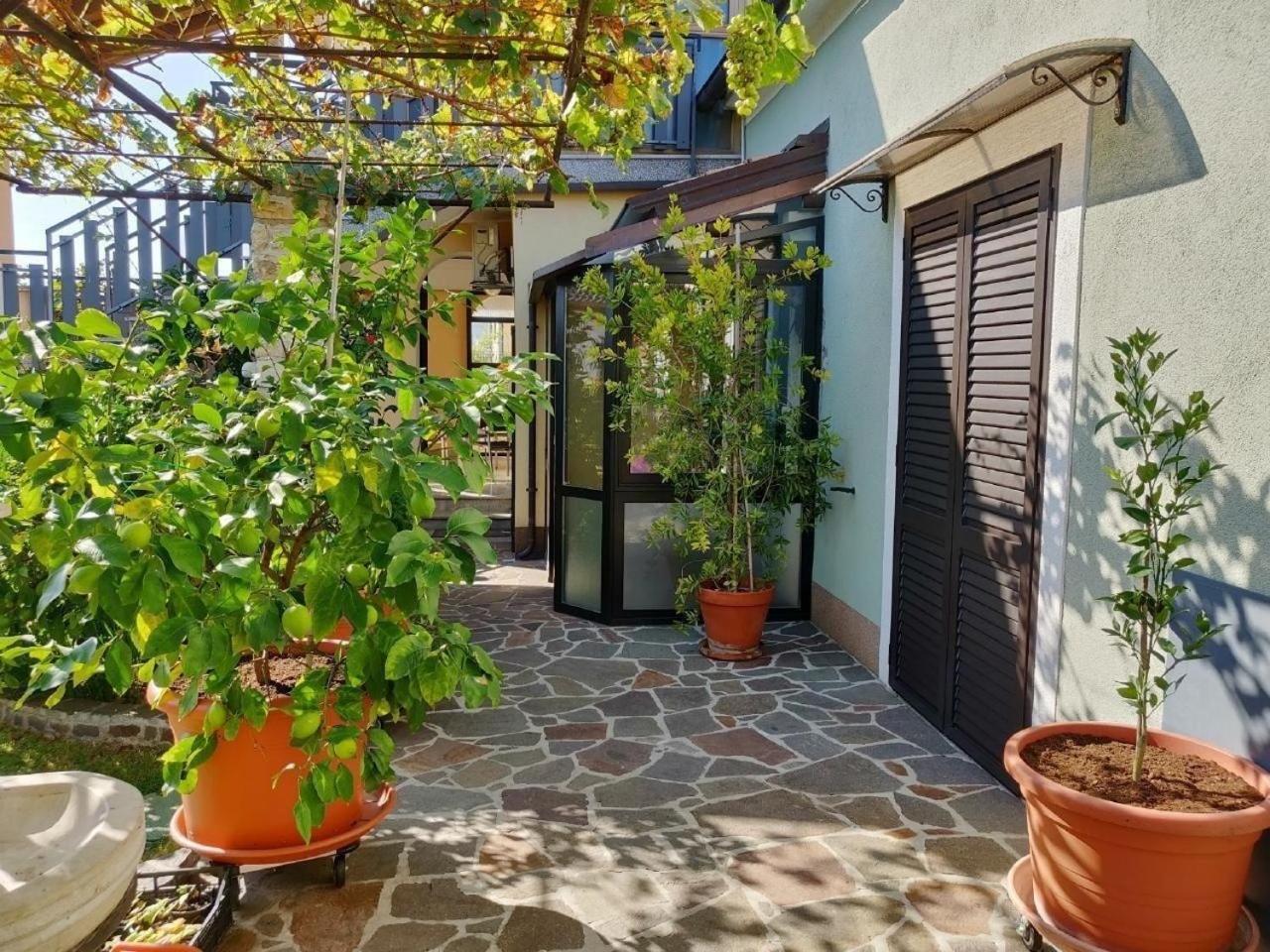 Tolles In Mit Grill, Terrasse Und Garten Apartment