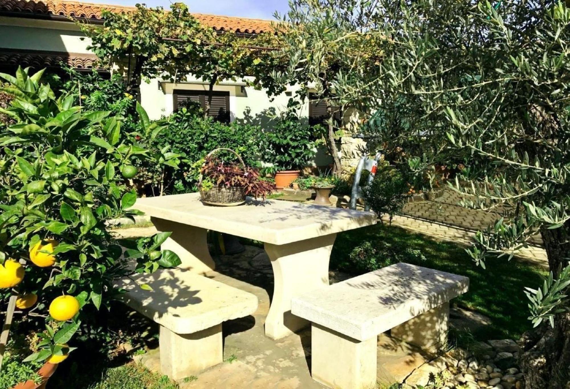 Tolles In Mit Grill, Terrasse Und Garten Apartment